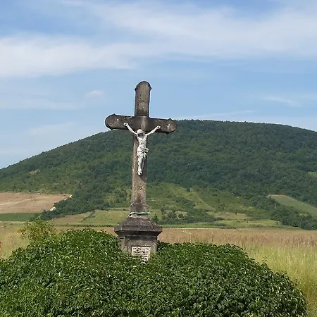 Magita 3* Basko